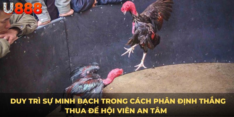  Duy trì sự minh bạch trong cách phân định thắng thua để hội viên an tâm 